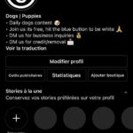 COMPTE INSTAGRAM (CHIENS) A VENDRE