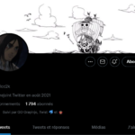 Compte Twitter + Gaming (Valorant et fortnite)  + 1794 followers + France + Pro fortnite