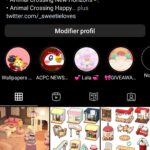 Compte insta animal crossing