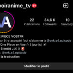 COMPTE INSTA MANGA À VENDRE