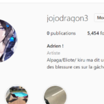 Vend compte instagram 4K