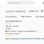 compte insta sur les chats avec 110k anglais