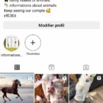 COMPTE INSTAGRAM 20 K ABONNES-ACTIF