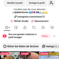 Vignette pour l'image de la liste principale