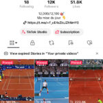 Compte TikTok 12k monétisé