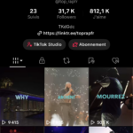 Compte TikTok, 31k ( Mongnétisé ) à vendre